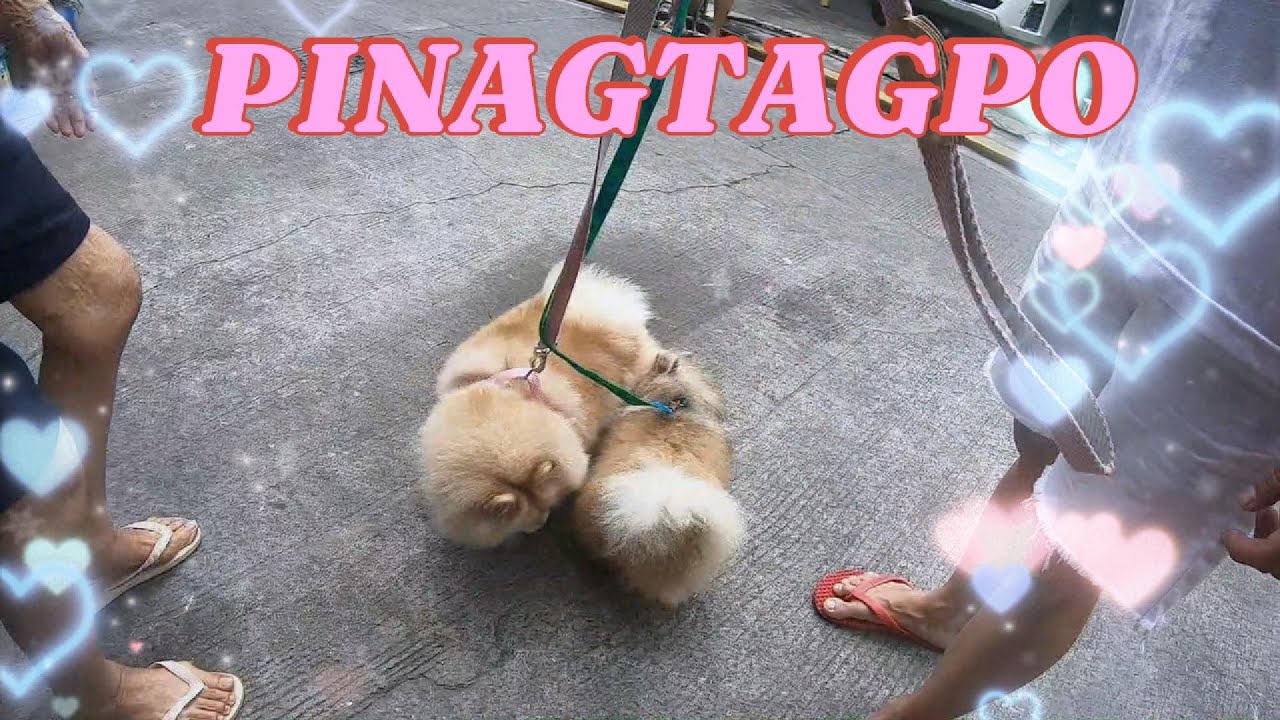 DUMATING ANG MANLILIGAW NI MOCHIE