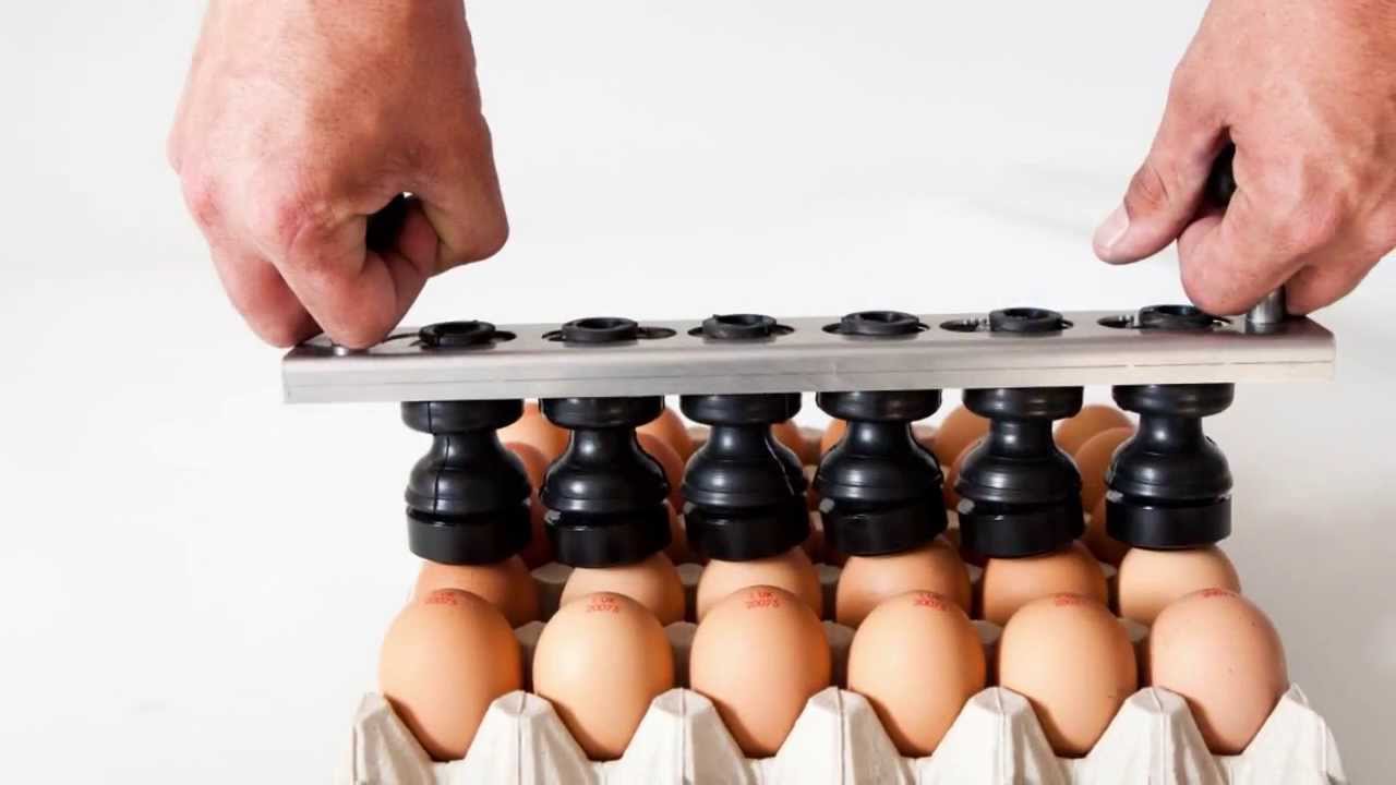 Nuovo Egg Stamper - Easy Stamp EMS6