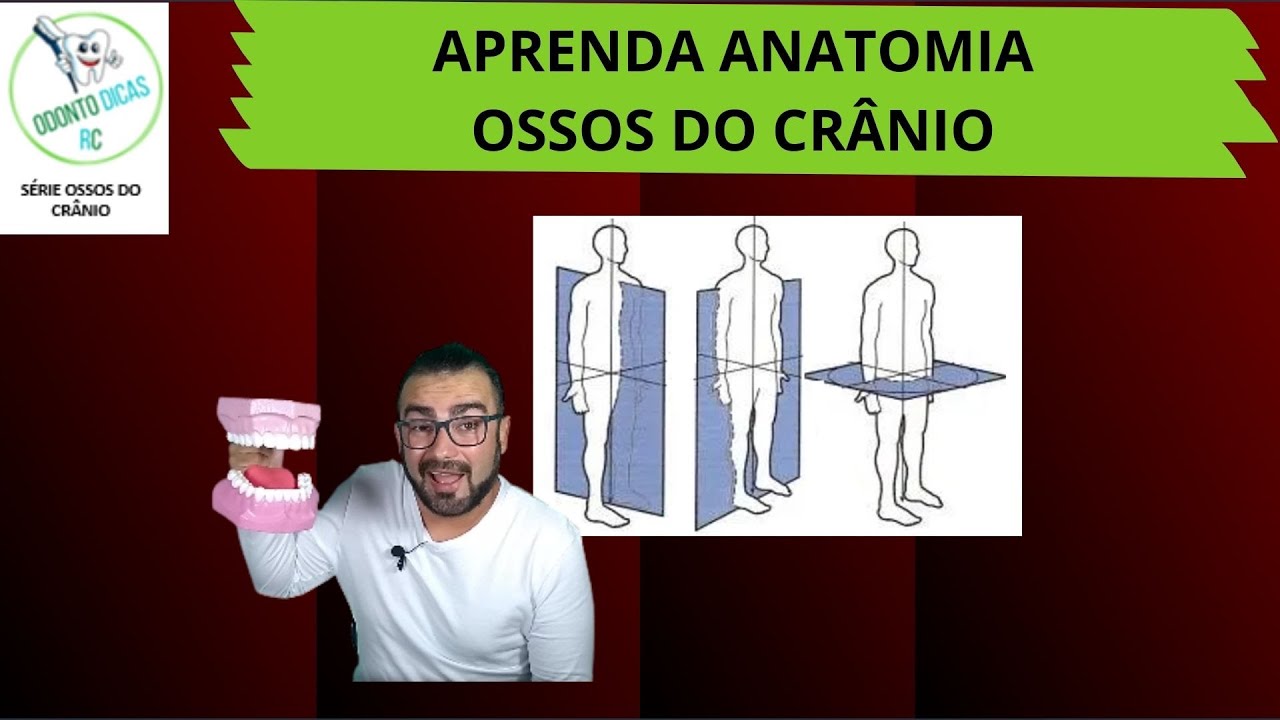 Ossos do crânio: Planos e posições anatômicas 1/8