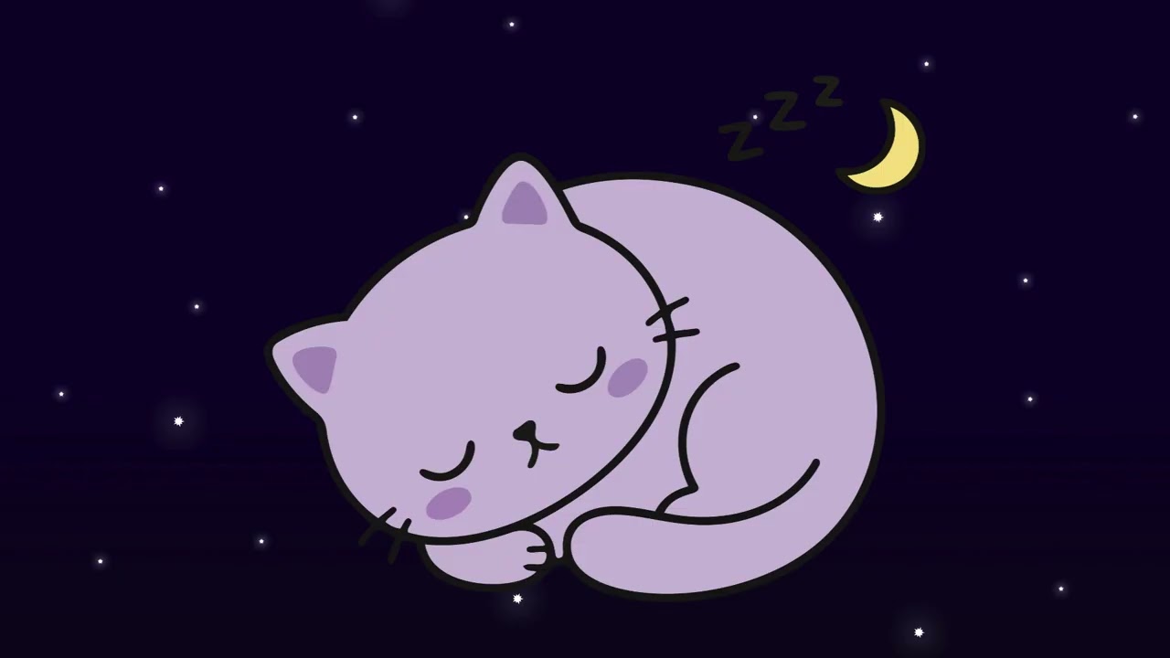 The cat who learnt the shape of silence