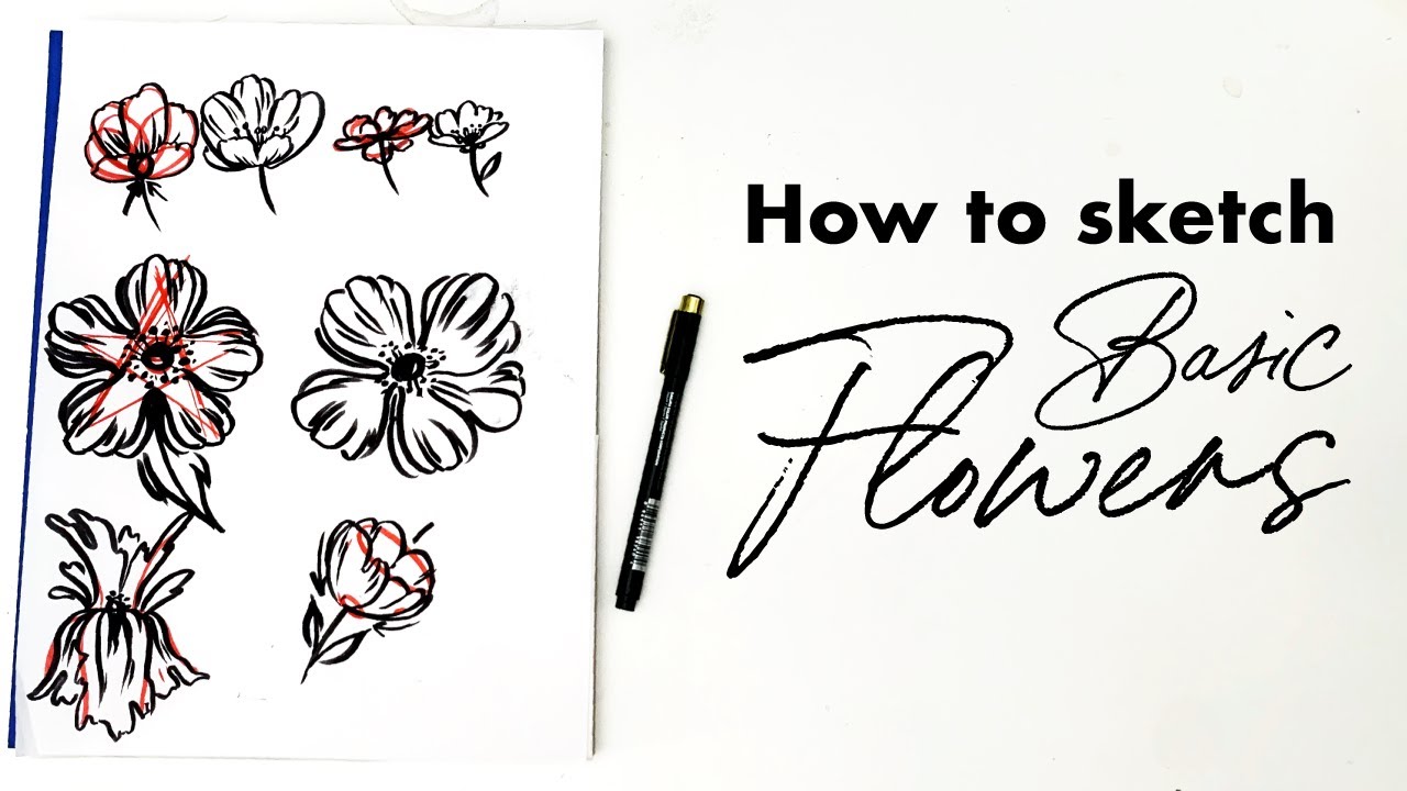 How to sketch a basic flower!