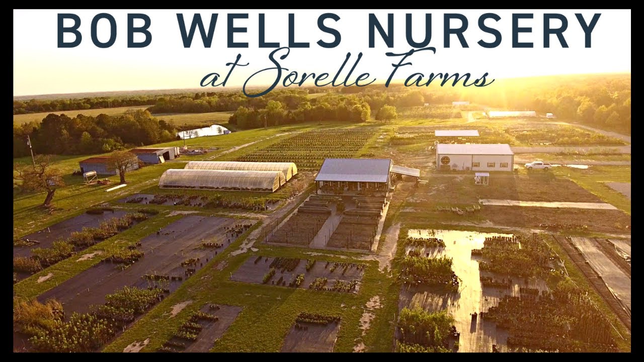 From A Career in Tech to Running a Wholesale & Retail Nursery: Bob Wells Nursery at Sorelle Farms