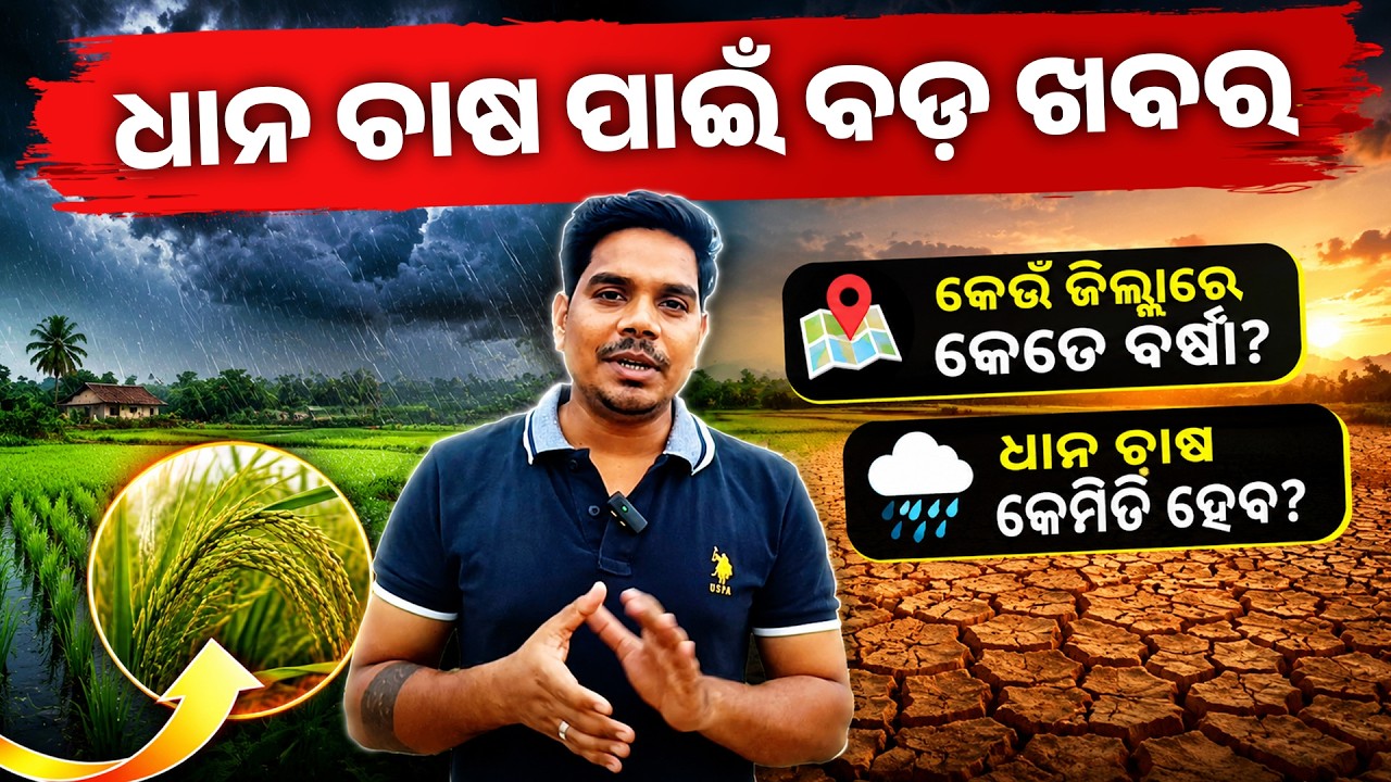 ଧାନ ଚାଷରେ ମରୁଡି ପଡିବ? | Odisha Monsoon 2026 | କେଉଁ ଜିଲ୍ଲାରେ କେତେ ବର୍ଷା?