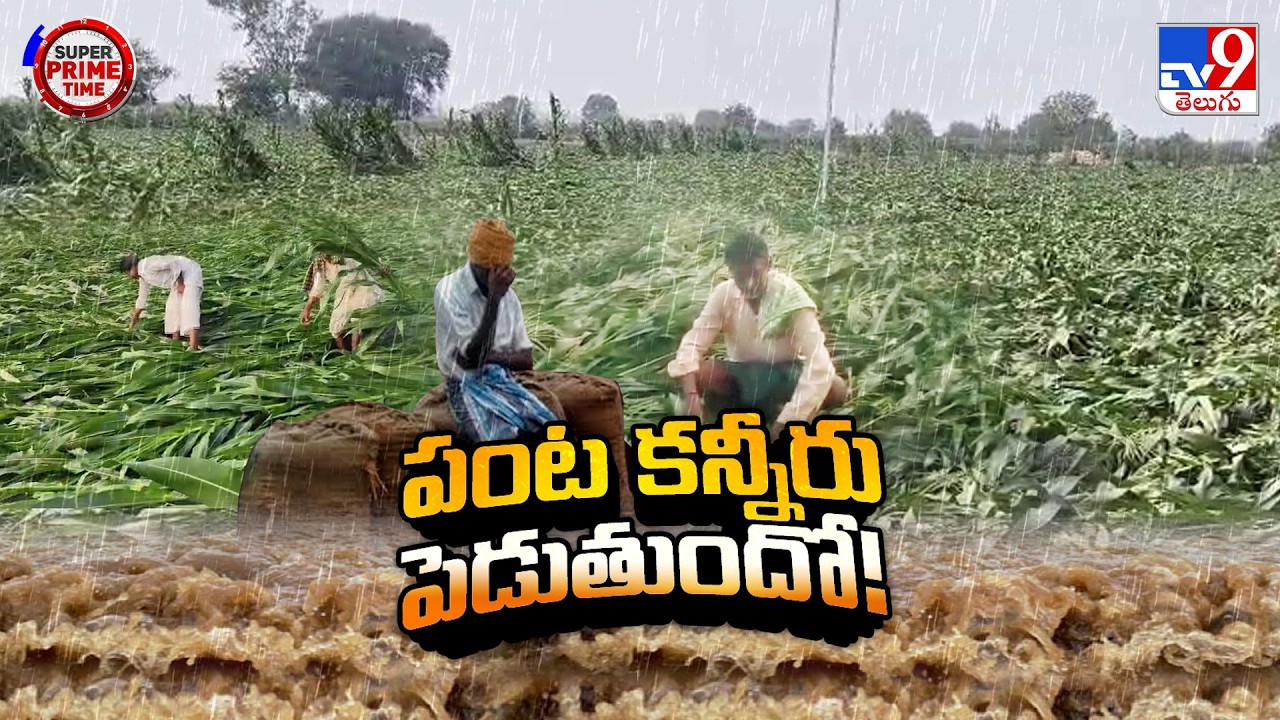 రైతు కంట కన్నీరు.. అకాలవర్షంతో ఆగమాగం | Farmers in Distress Due to Sudden Rains - TV9