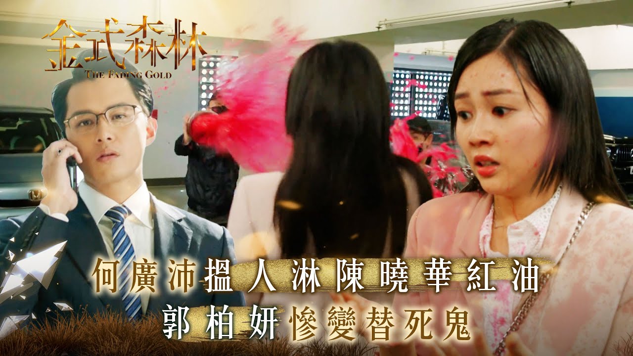 金式森林｜何廣沛搵人淋陳曉華紅油 郭柏妍慘變替死鬼(繁/簡中字幕)｜第九集劇情｜TVB劇集｜港劇｜劇集｜電視劇TVB #何廣沛 #陳曉華 #金式森林