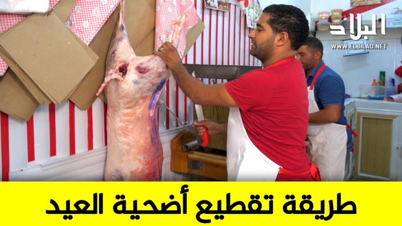 شاهدوا.. الطريقة الصحيحة والفعالة لتقطيع كبش العيد