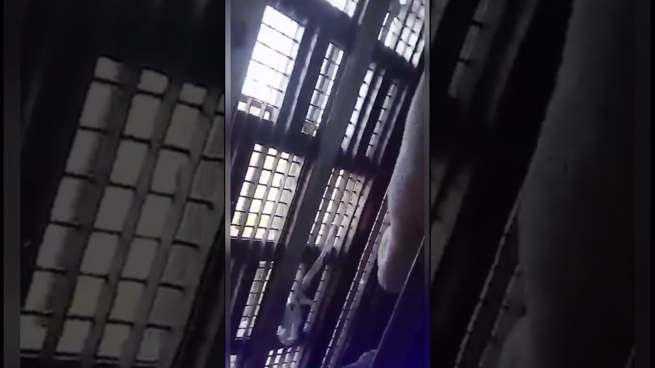 Le K - freestyle en prison