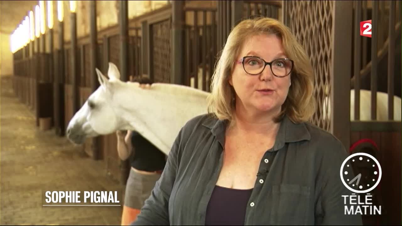 Emploi - Equicoaching, le cheval pour r&eacute;veiller sa personnalit&eacute;