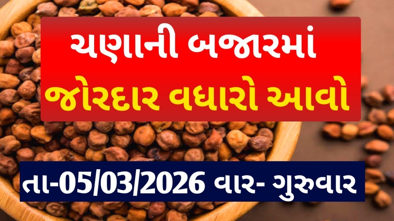 આજના ચણાના ભાવ|| 05/03/2026 ચણાની બજારમાં તેજી આવી|| જાણો આજના તમામ માર્કેટના ભાવ #ચણાના_ભાવ #ચણા 