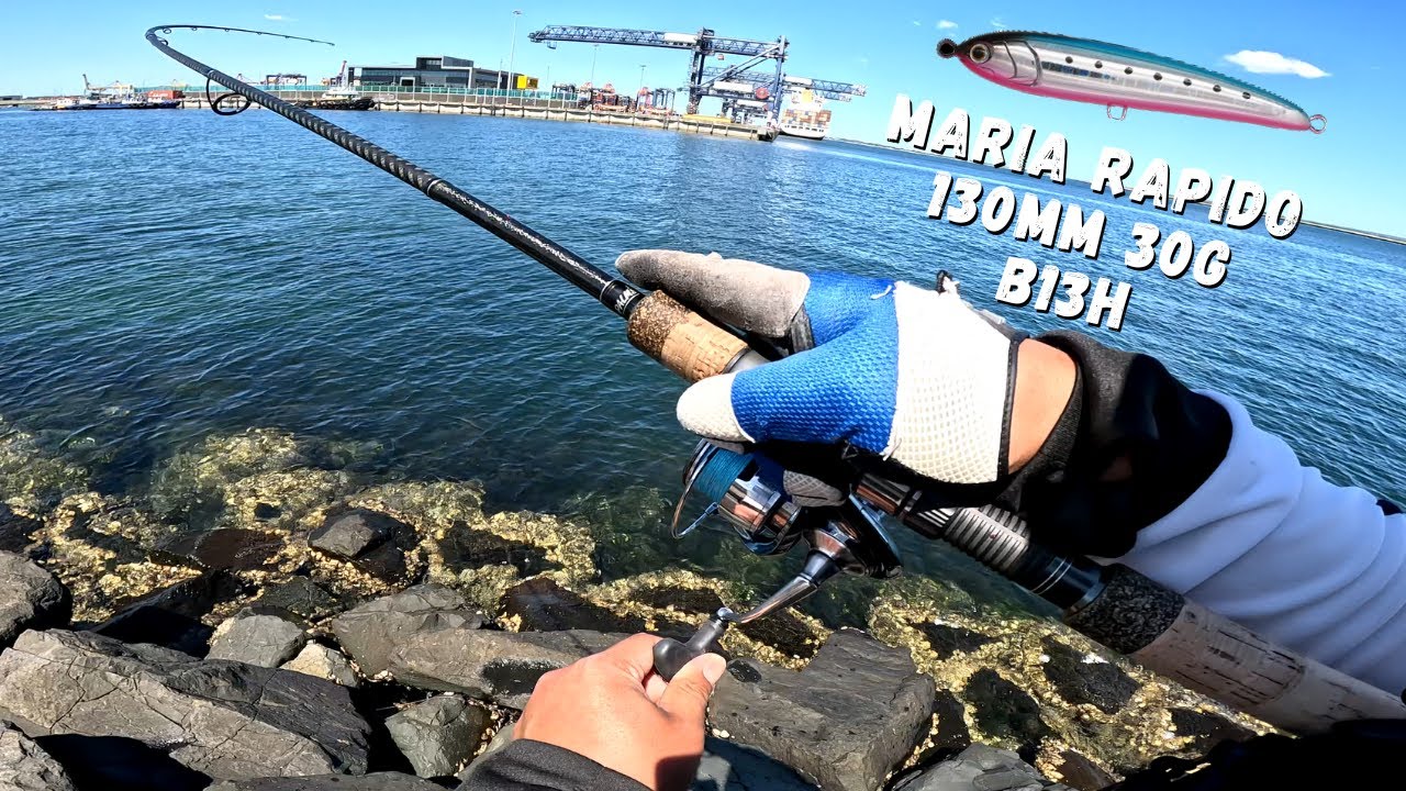 Topwater action with Maria Rapido stickbait in Botany Bay