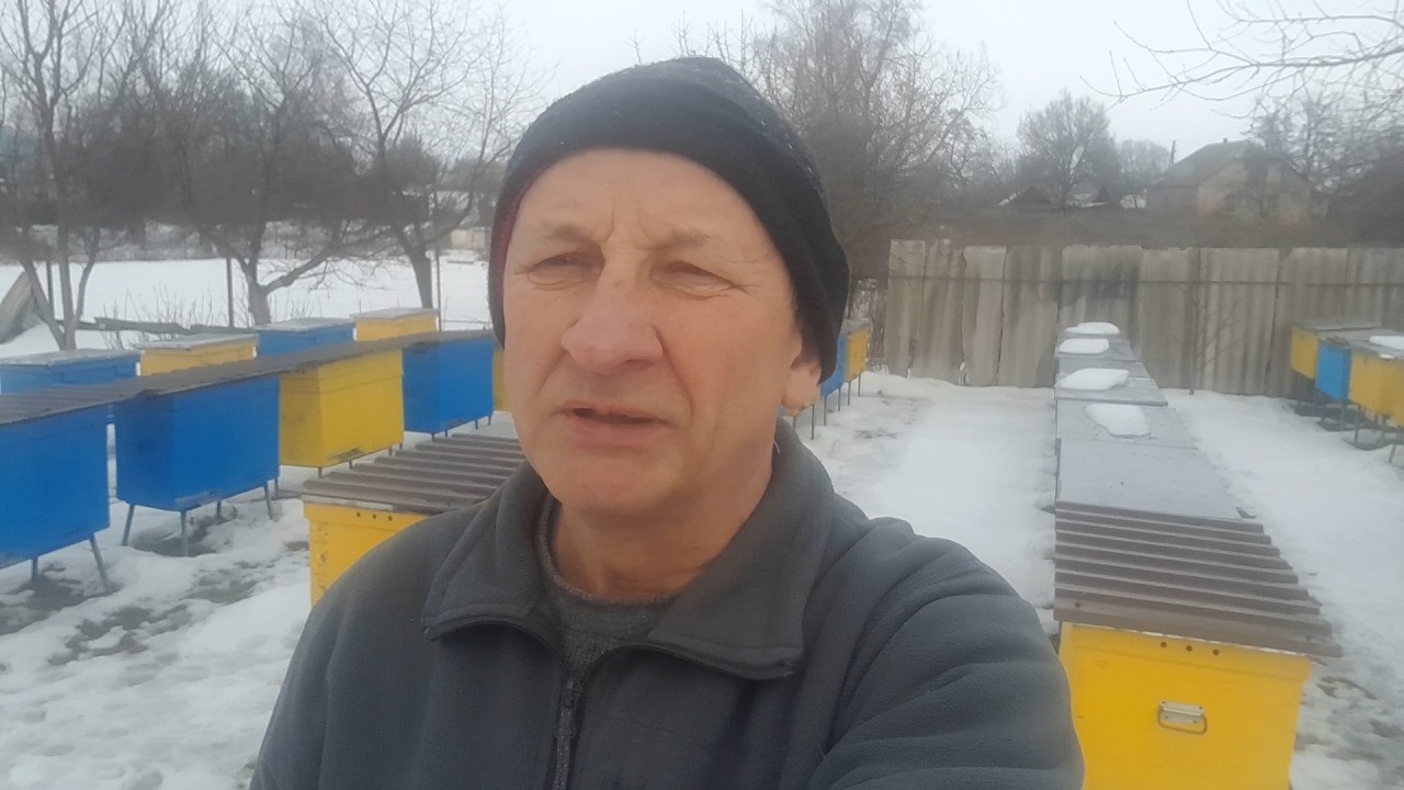 Пчелы съели канди | Результат подкормки после зимы