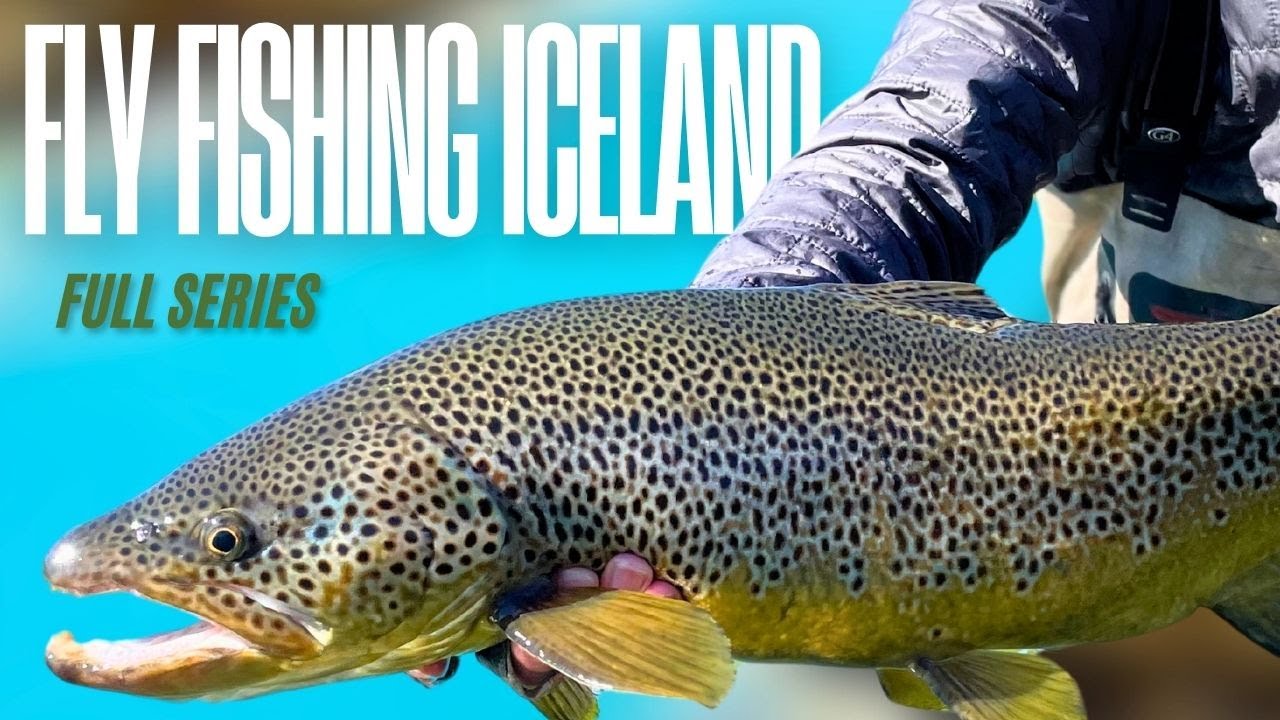 5 days catching monster trout in remote Iceland