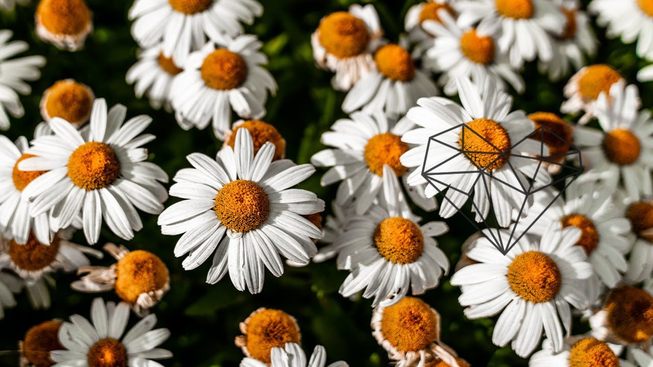 Felix E & Michael Ritter - Gegenliebe (Original Mix) [Deep House / Everything Will Be OK]