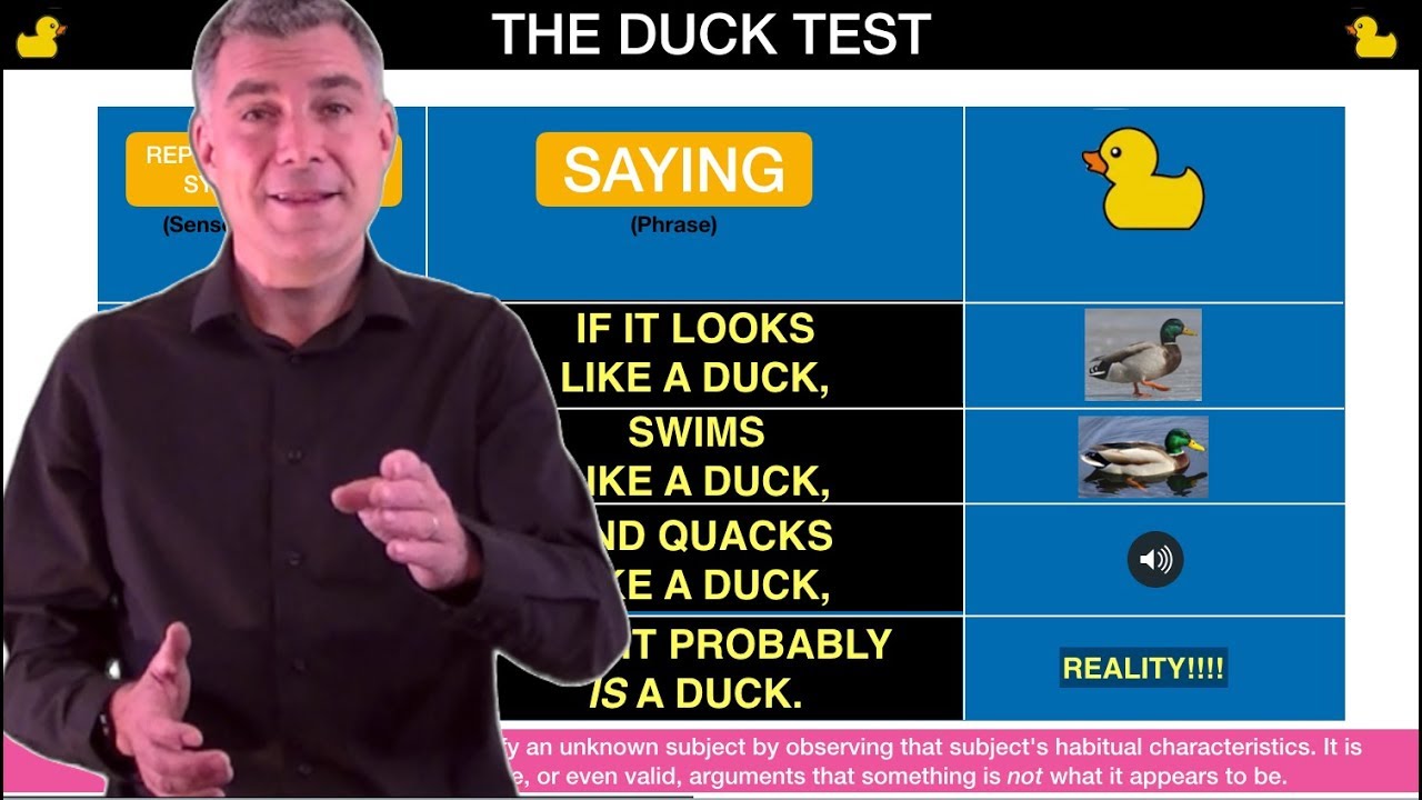 NLP Representational Systems (Simply Explained) using The Duck Test