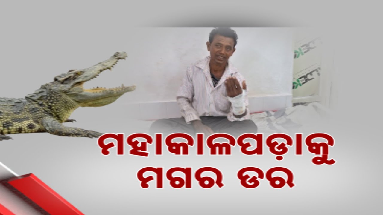 Crocodile Attacks Rise In Kendrapara's Mahakalpada; Locals Demand Urgent Action