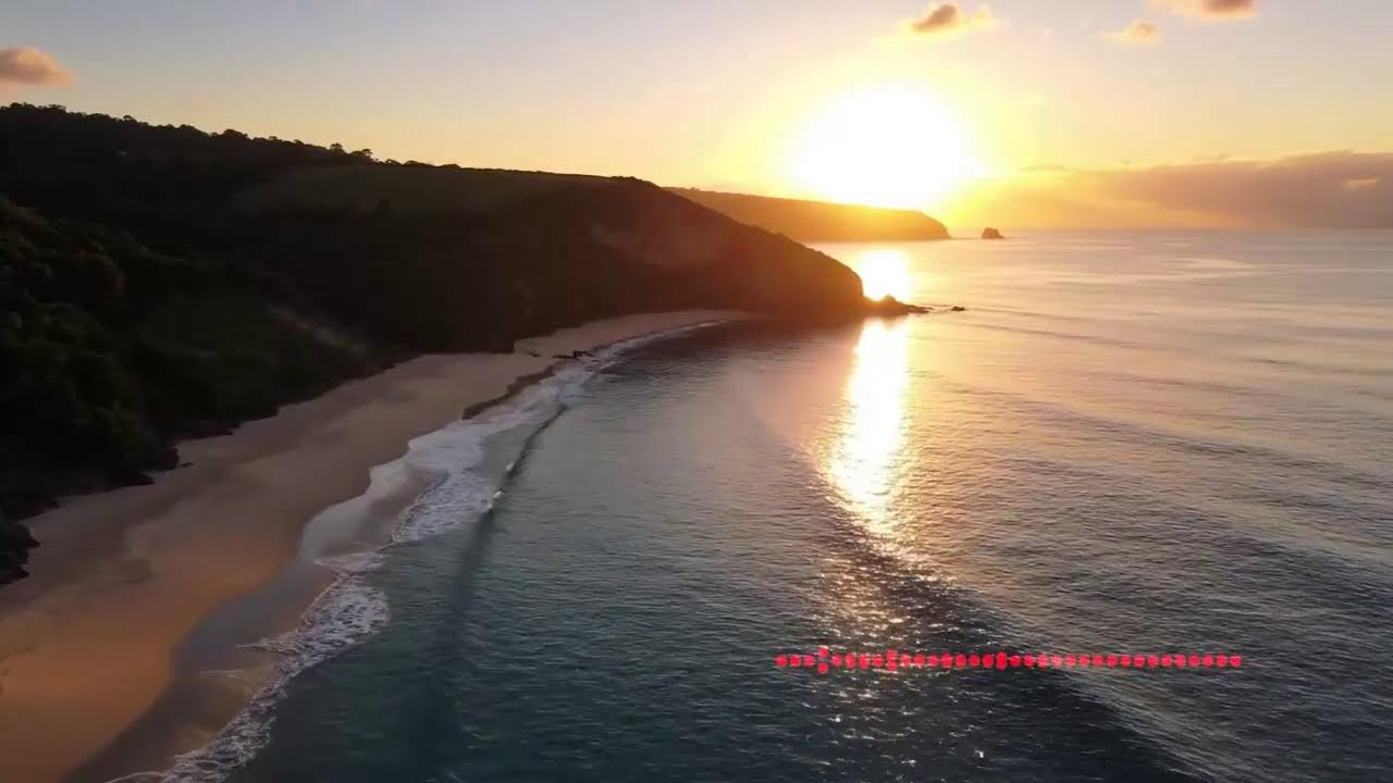 AFRO HOUSE MIX 2025 (Adam Port, Hugel, Keinemusik, MoBlack) - Summer Vibes Mix