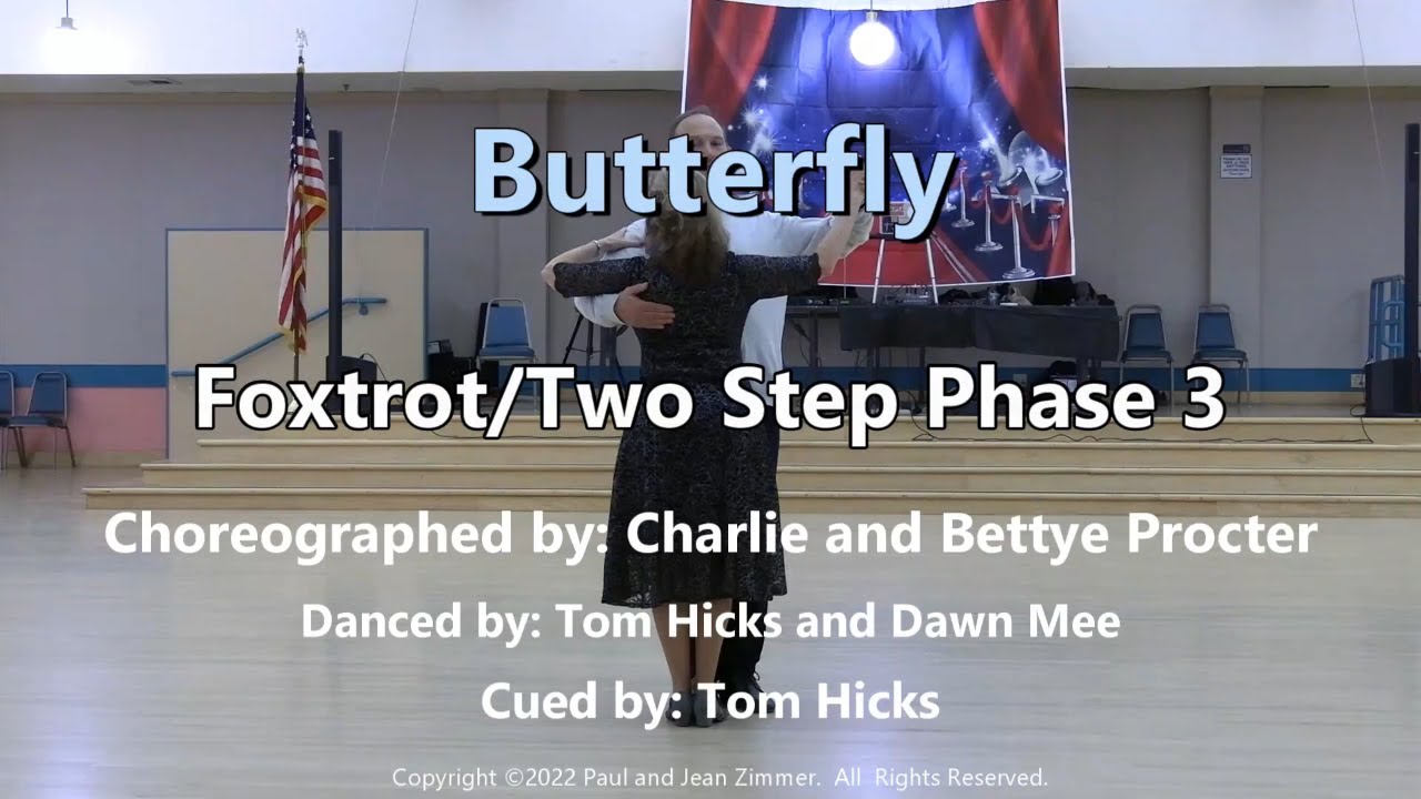 Butterfly