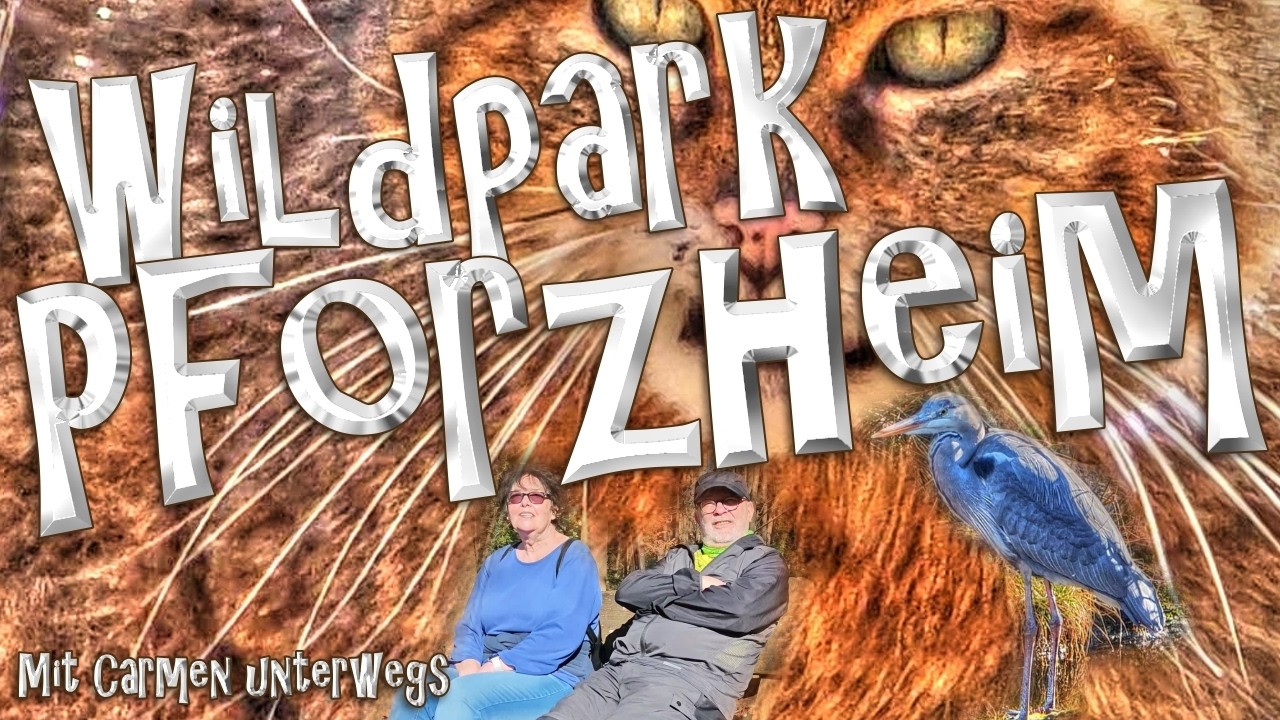 Wildpark Pforzheim -  Luchs - Wisent - Waldrapp und Co.