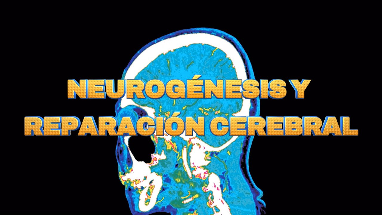 NEUROG&Eacute;NESIS Y REPARACI&Oacute;N CEREBRAL