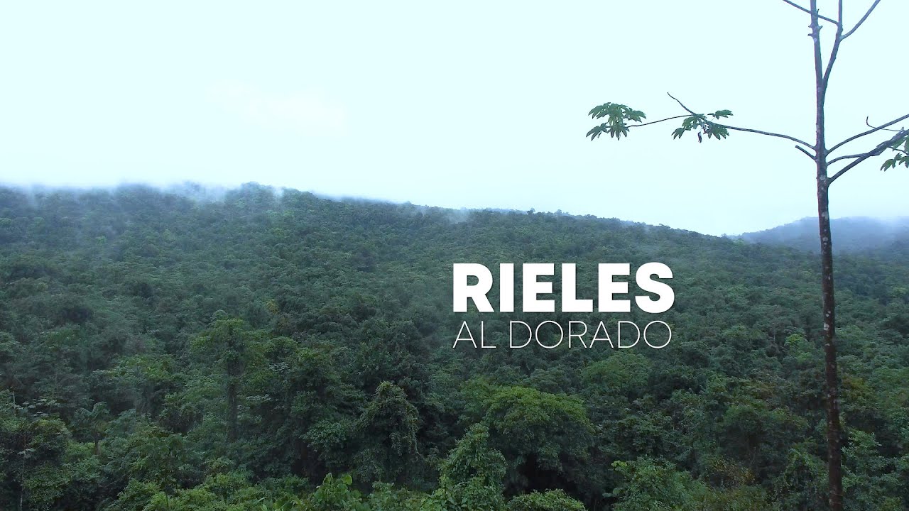 Infinity Ec 🚀 - Rieles al Dorado -  Mini Documental