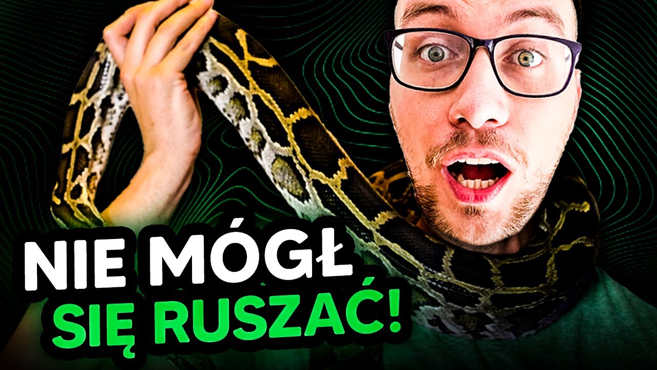 UDUSIŁ PRZECIWNIKA! nieśmiertelna partia ZUGZWANGOWA