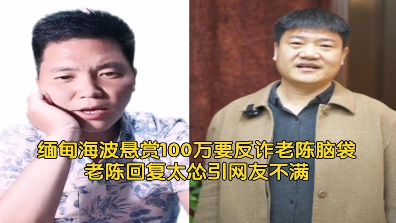 缅甸海波悬赏100万要反诈老陈脑袋，老陈回复太怂引网友不满