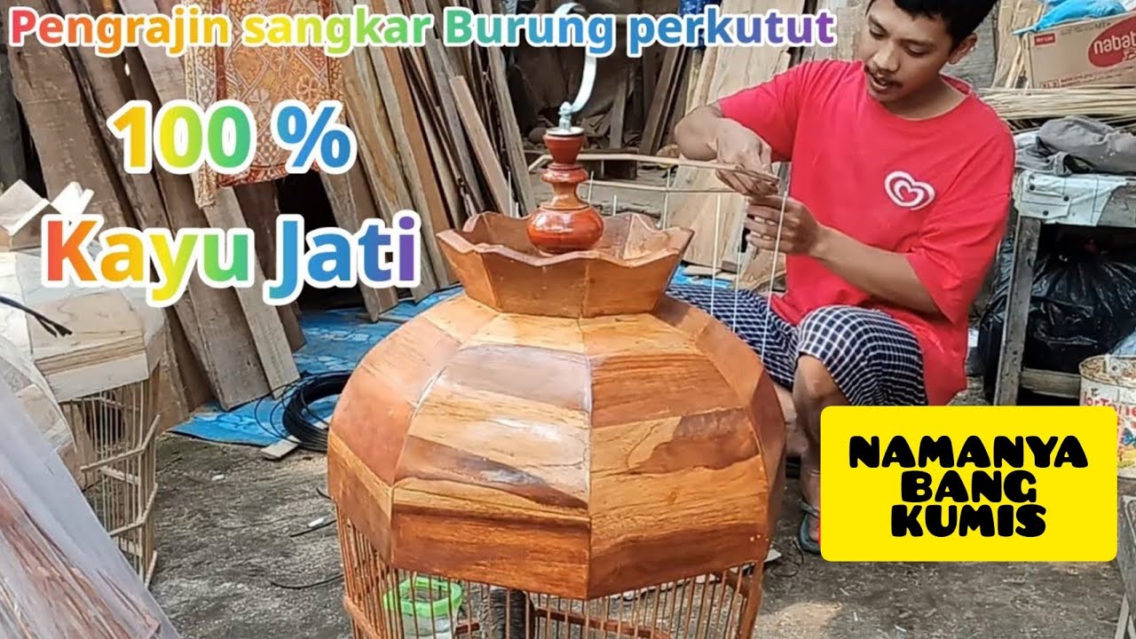 omset hingga 12jt per bulan | usaha sangkar burung perkutut | cara menghasilkan uang