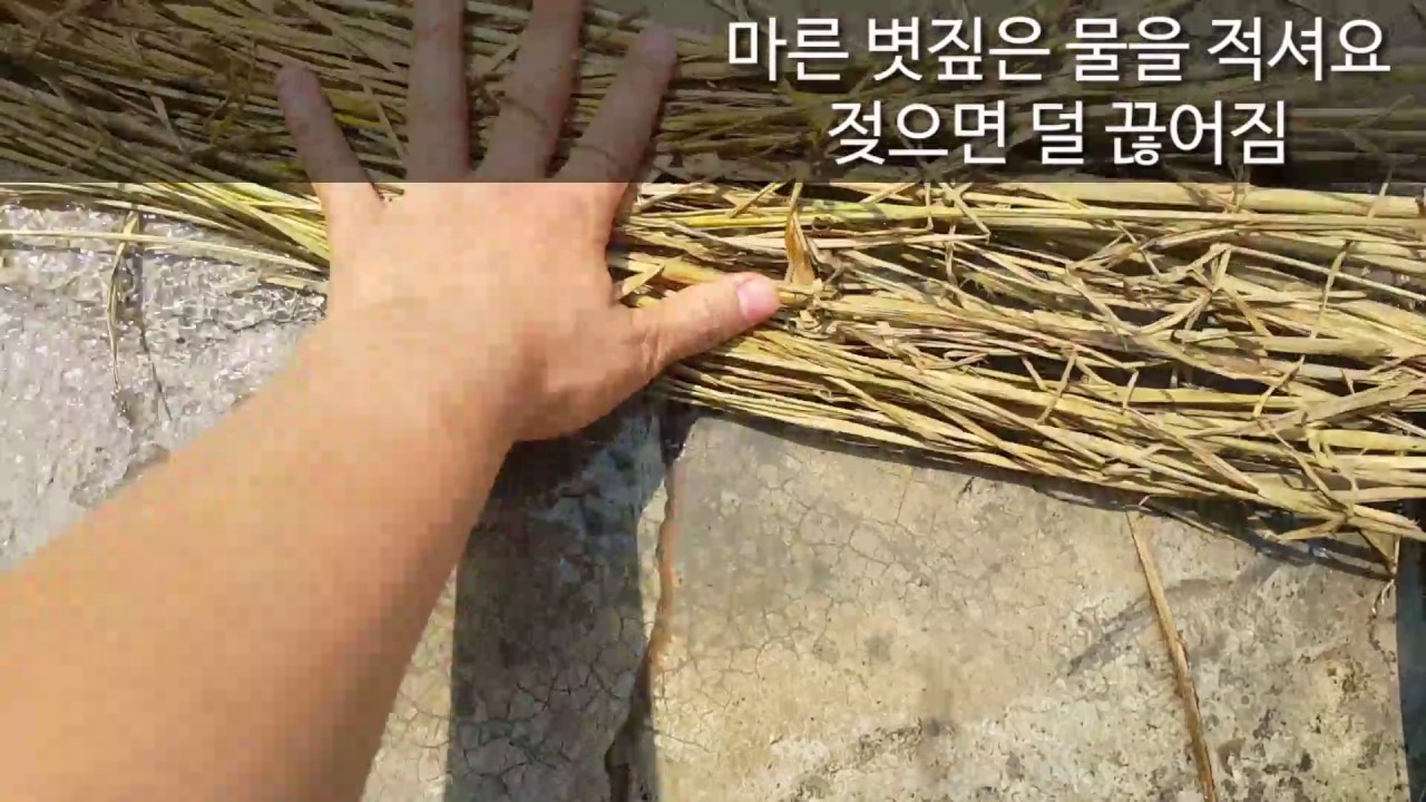 새끼줄 꼬는법/새끼줄꼬기