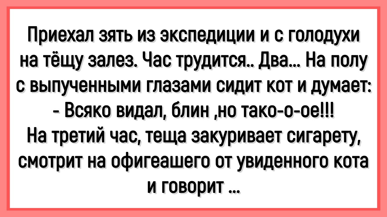 🔥Как Зять С Голодухи На Тёщу Залез! Сборник Смешных До Слёз Анекдотов! Юмор! Позитив!
