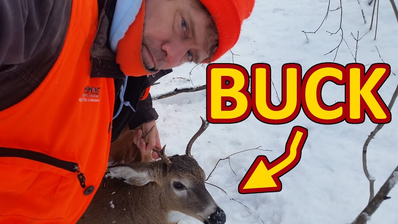 DEER HUNTING 2019