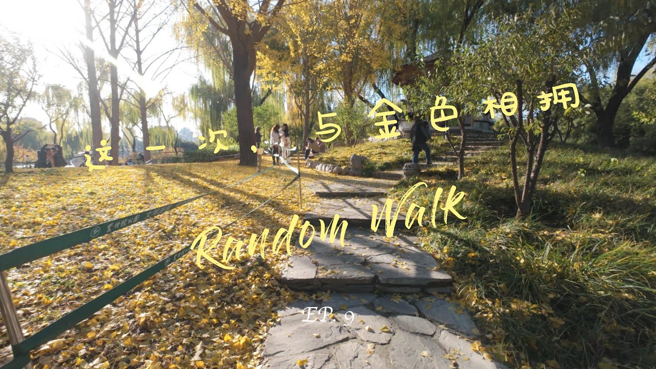 随机游走｜EP9. 这一次，与金色相拥｜金秋北平｜闲庭信步 | 紫竹院 | 环境音
