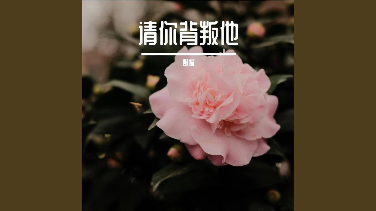 请你背叛他