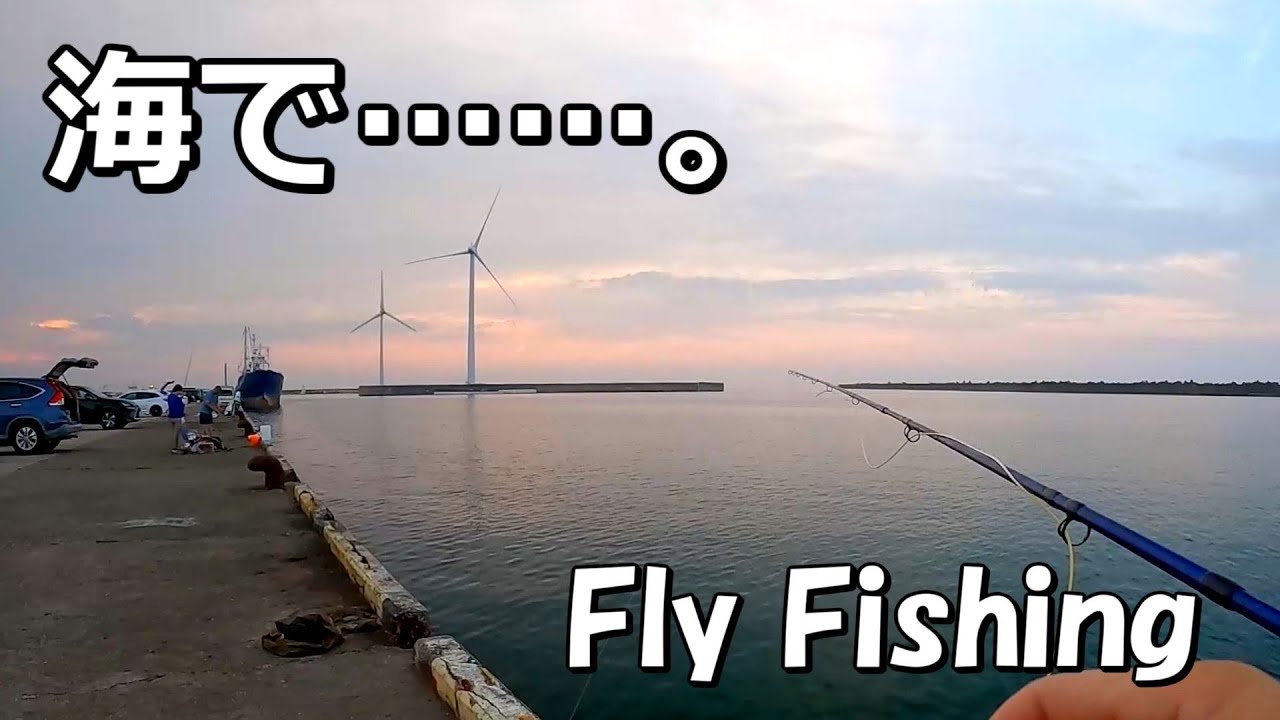 海で何か釣れないだろうか？フライフィッシング