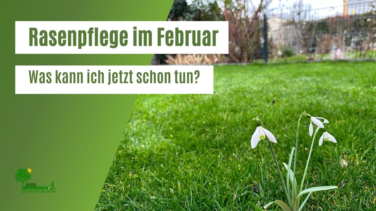 Rasenpflege im Februar | Was kann ich jetzt schon tun? | Mit was sollte ich lieber noch warten?