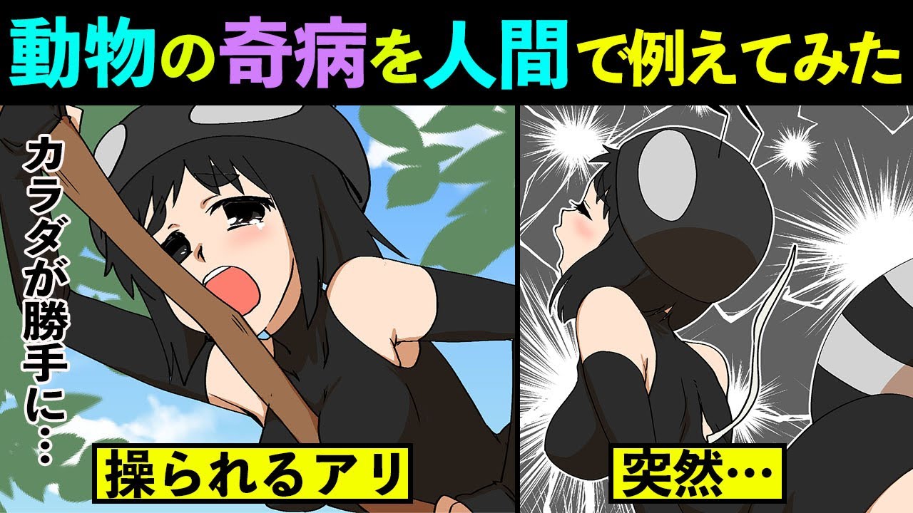 【漫画】動物の奇妙な病気を人間に例えてみた【マンガ動画】