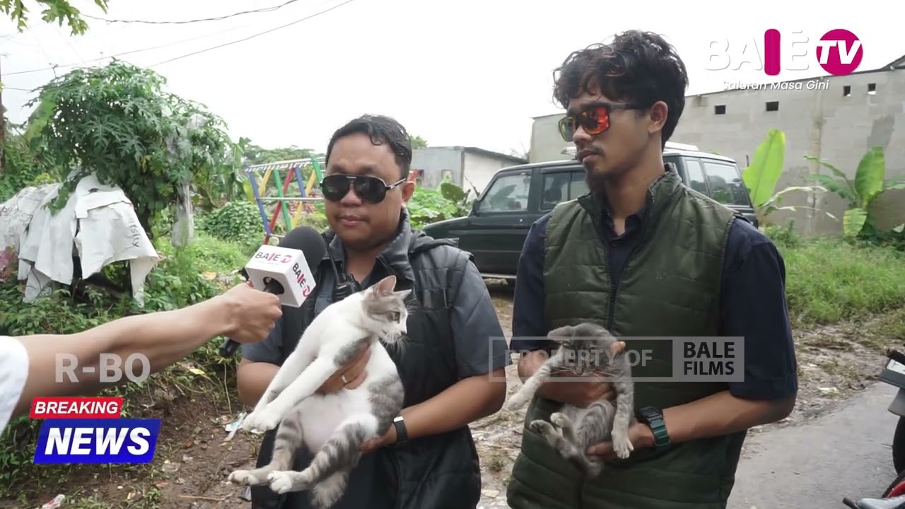 Geger! Aksi pemalakan organisasi MIAW saat jam makan semakin meresahkan! - Berita Parodi BALETV