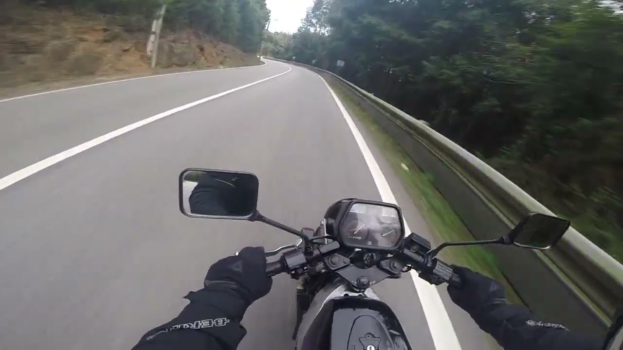Suzuki Wolf 50 onboard