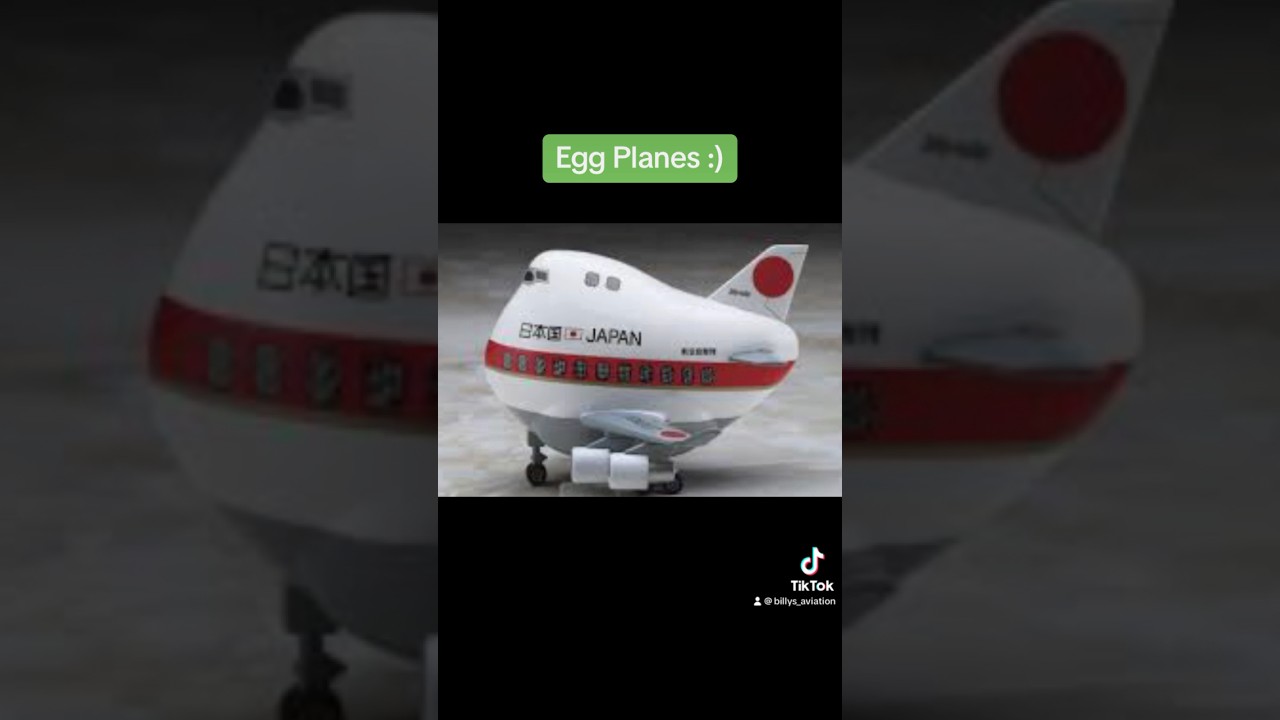 Egg Planes Are SO CUTE 🥰 #aviation #meme #funny #cute #shorts #planes