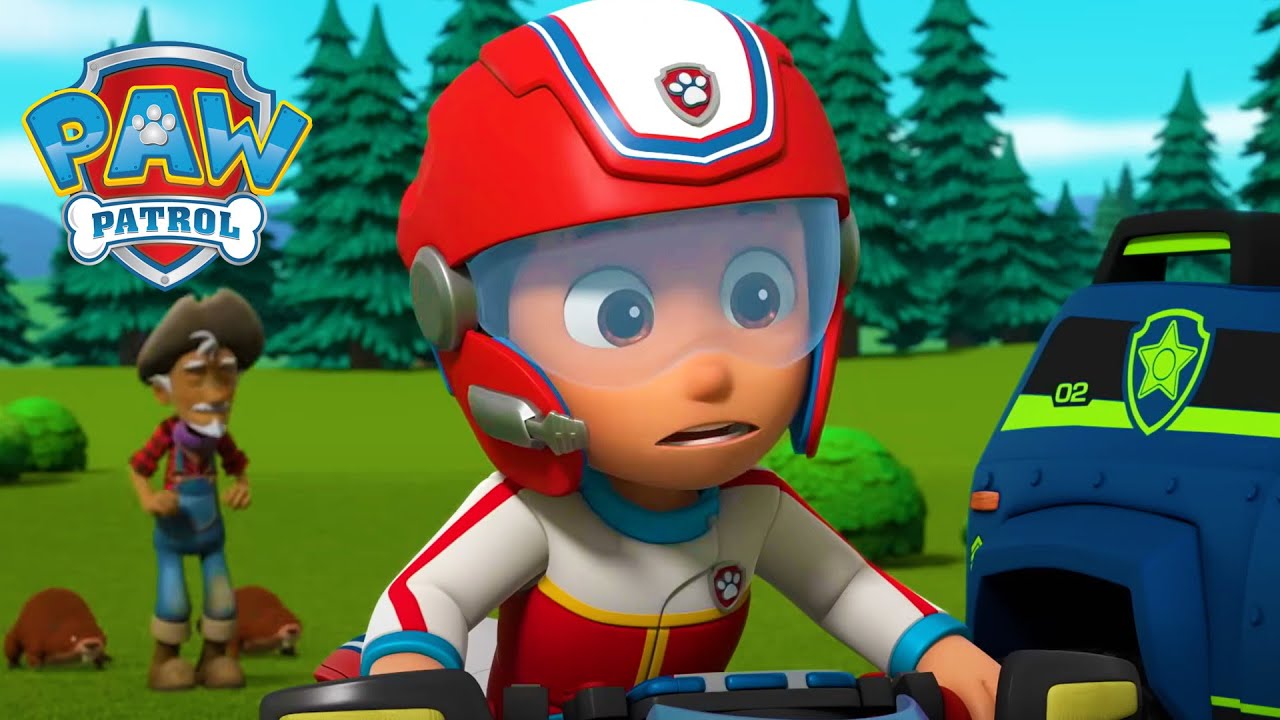 În căutare de aur! - PAW Patrol - Desene animate pentru copii