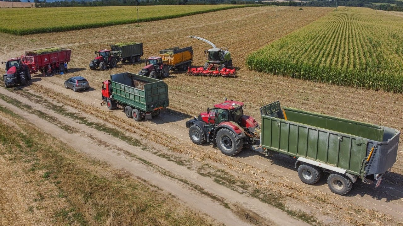 🌽Siláže 2024 - CLAAS Jaguar 970, 5x traktor CASE IH, TATRA 815, ŠKODA ŠT 180, CAT