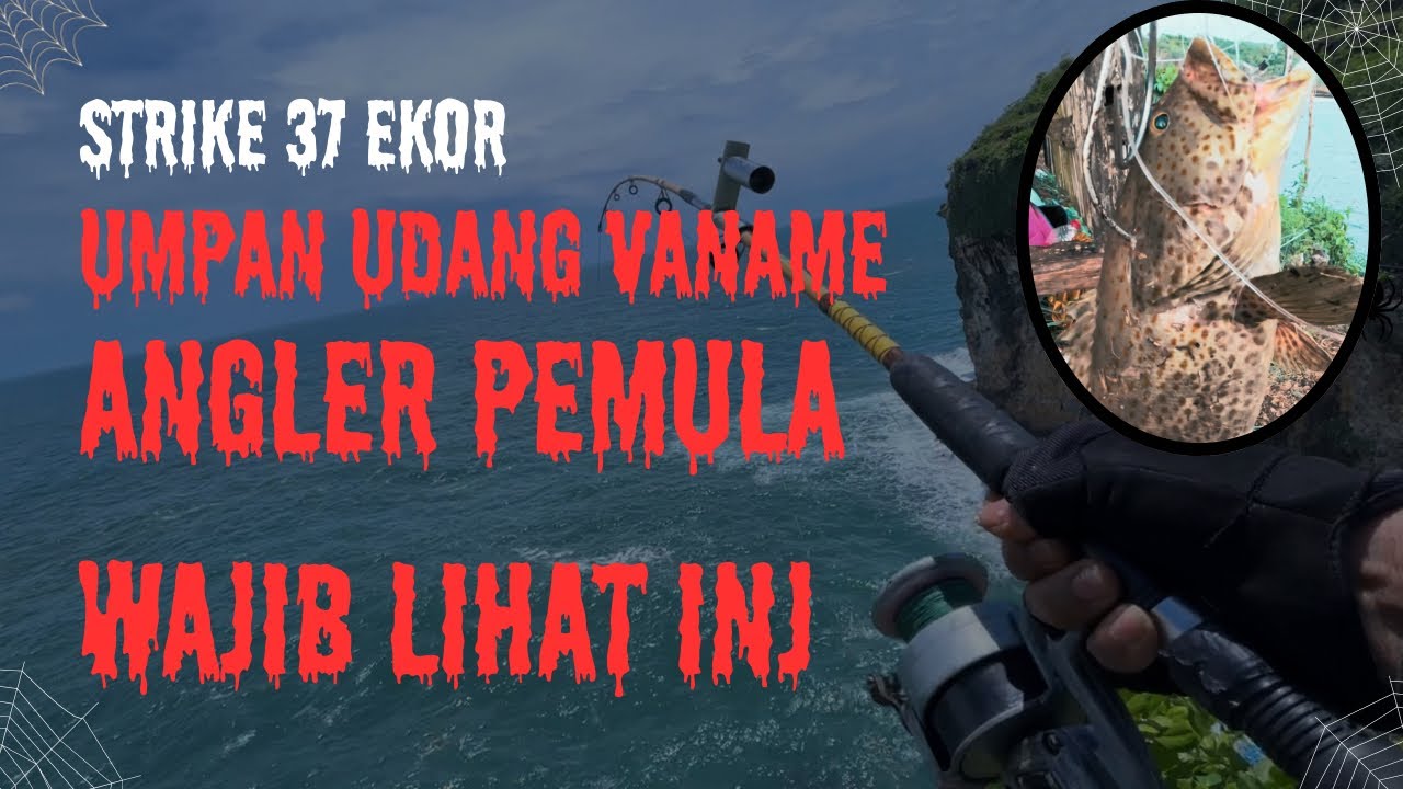 STRIKE BERTUBI TUBI MANCING PINGGIRAN UMPAN UDANG VANAME 