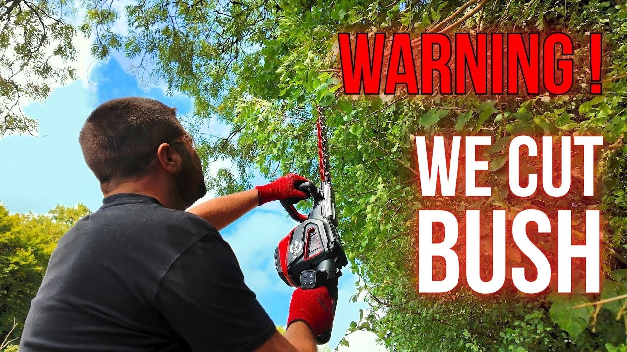 Are BATTERY Hedge Trimmers BETTER Than Petrol Now?