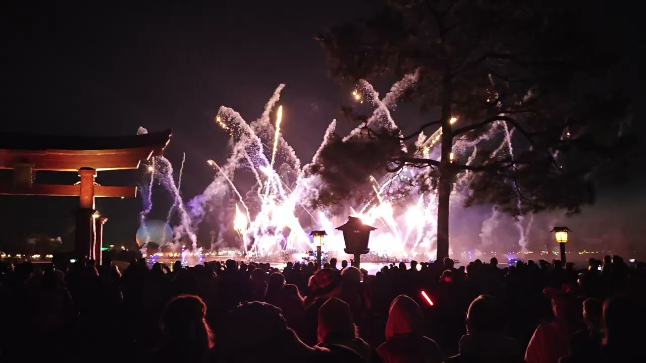 New Years Eve Luminous at EPCOT