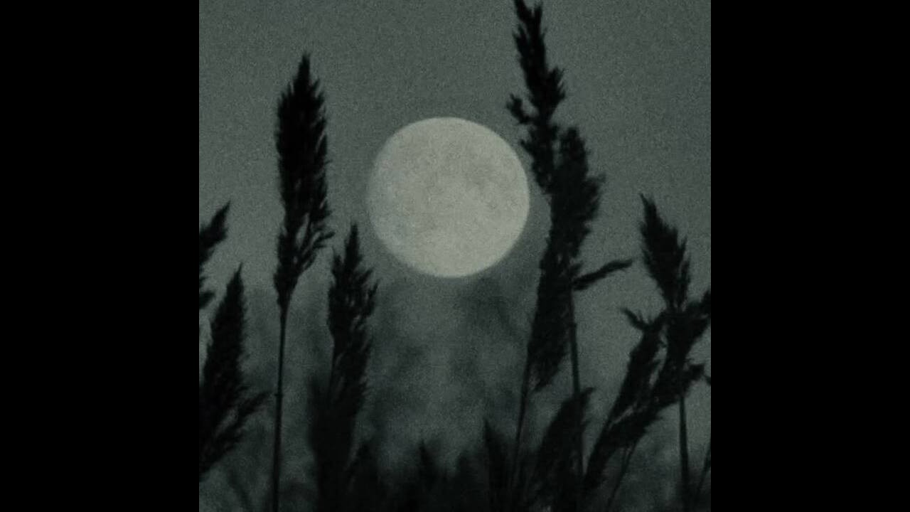 [free] lucki type beat - 