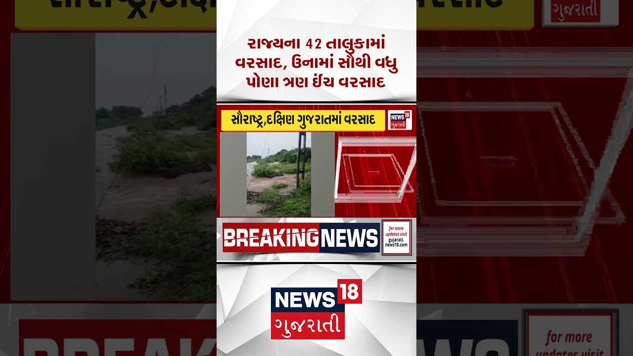 Gujarat Rain News | રાજ્યના 42 તાલુકામાં ધોધમાર વરસાદ | Monsoon | Shorts | Gujarati News