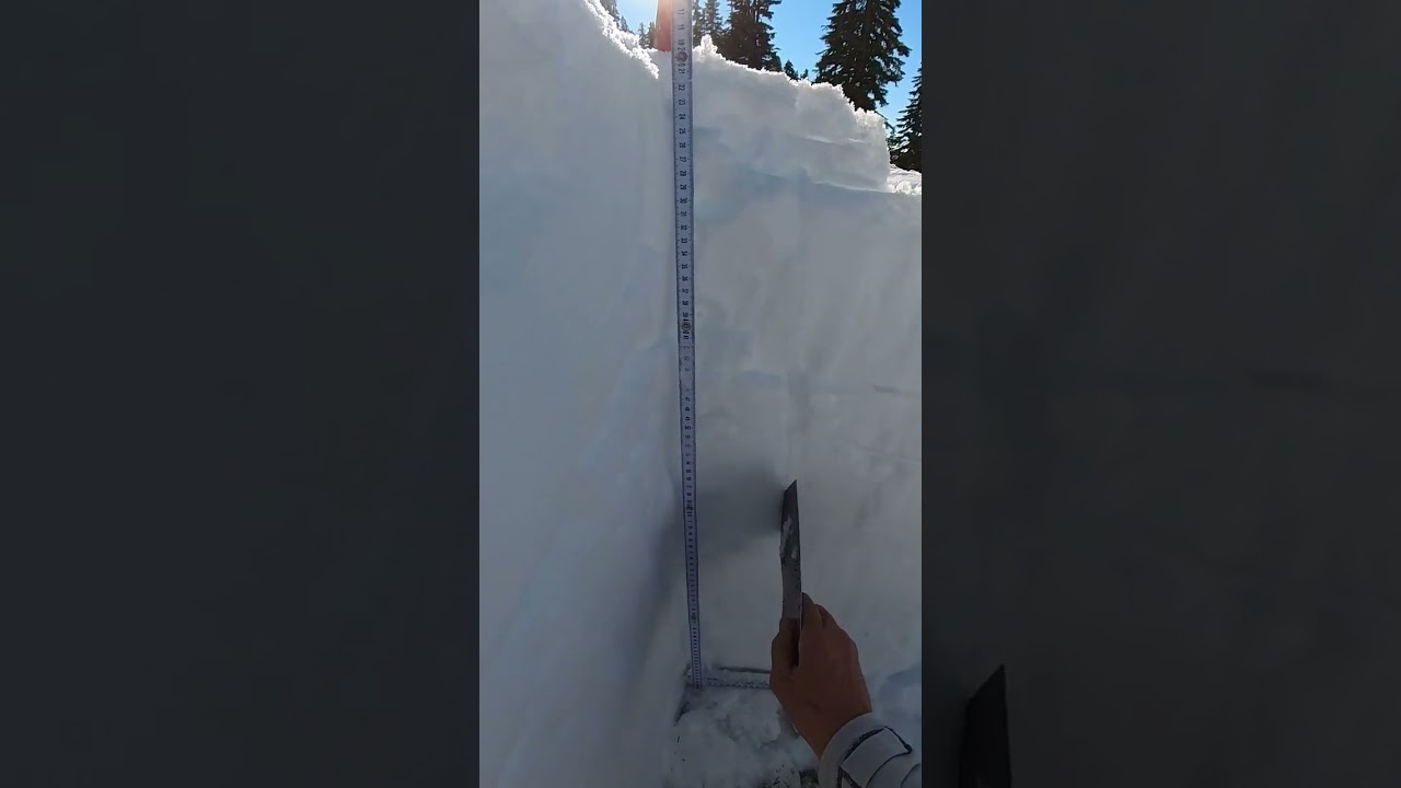 Identify the snow layers first! 🥶 #shorts