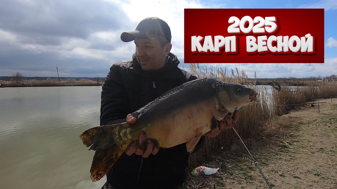 Карповый сезон 2025 открыт