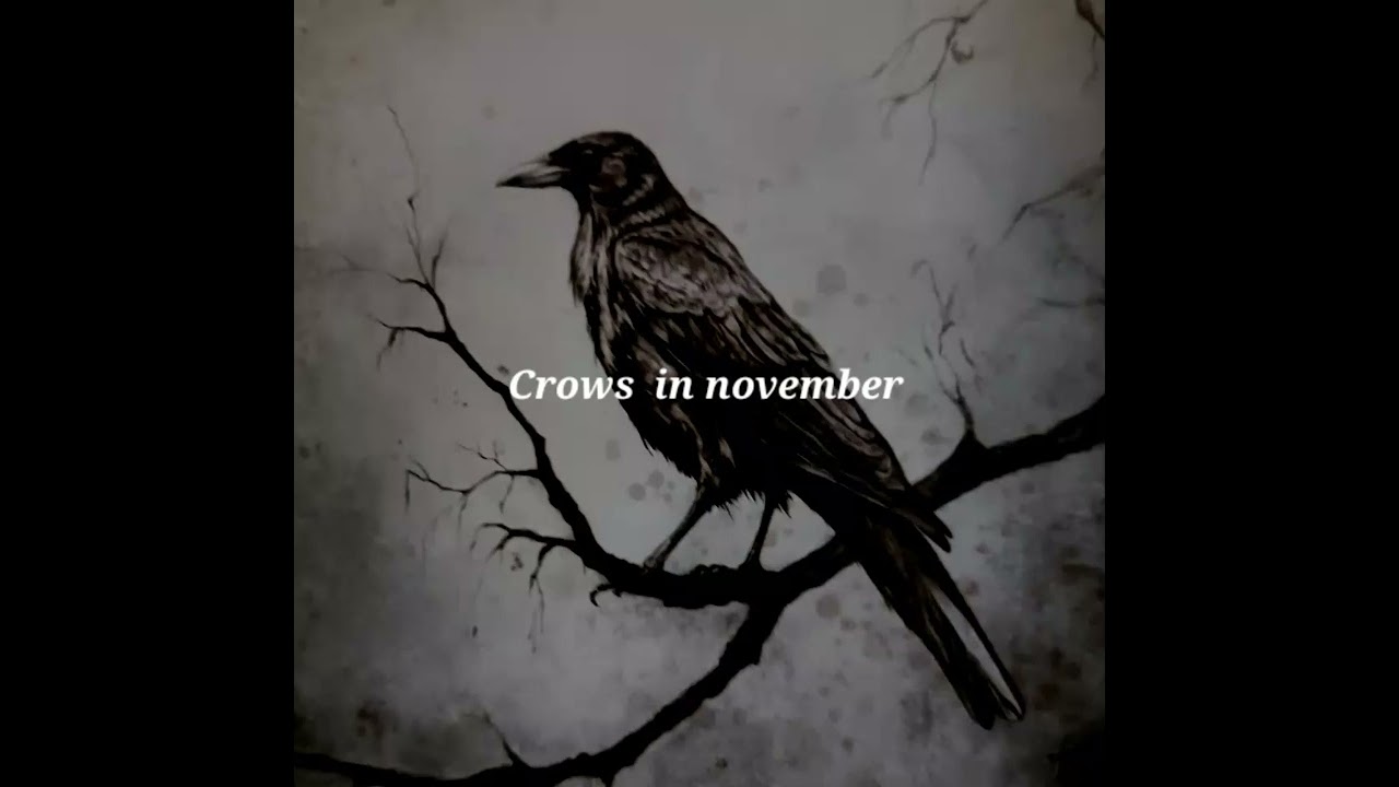 Crows in november, the darkening era