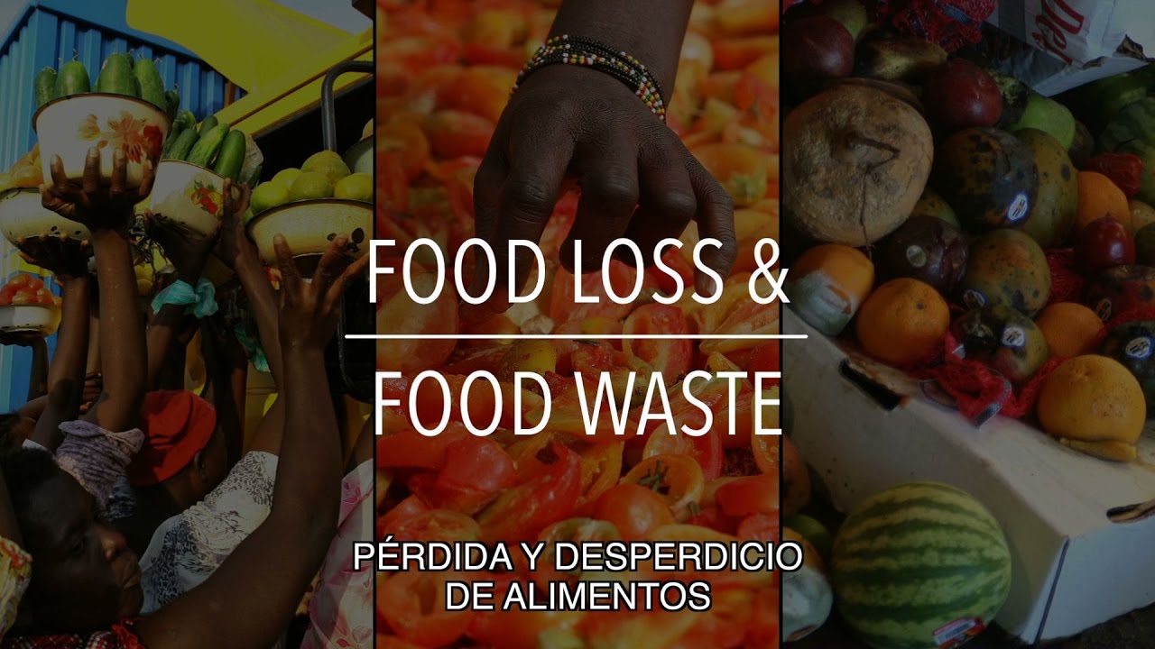 FAO Serie sobre políticas: Pérdida y desperdicio de alimentos (con subtítulos)