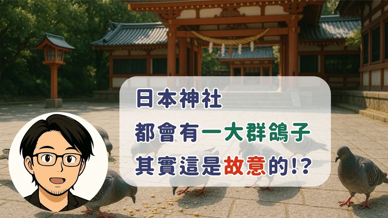日本神社常看到一大群鴿子，竟然是故意的嗎！？
